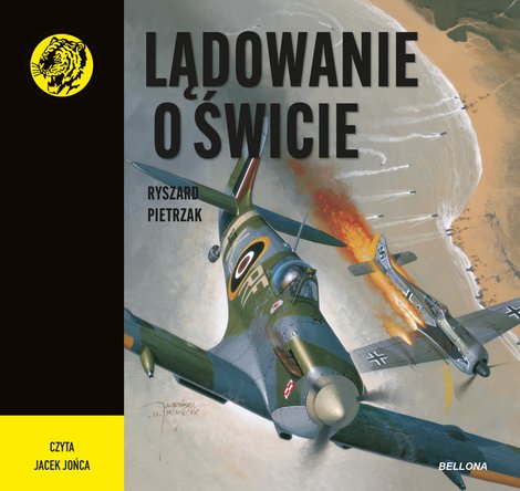 audiobooki: Lądowanie o świcie – audiobook