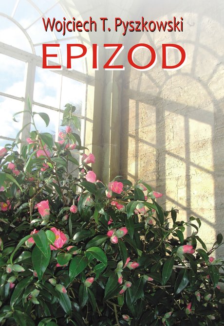 ebooki: Epizod – ebook