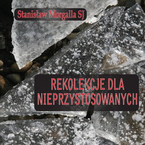 audiobooki: Rekolekcje dla nieprzystosowanych – audiobook