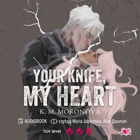 audiobooki: Your Knife, My Heart &ndash; audiobook