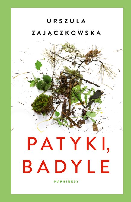 ebooki: eko: Patyki, badyle – ebook