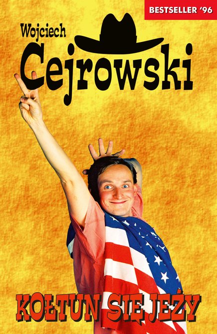 ebooki: Kołtun się jeży &ndash; ebook