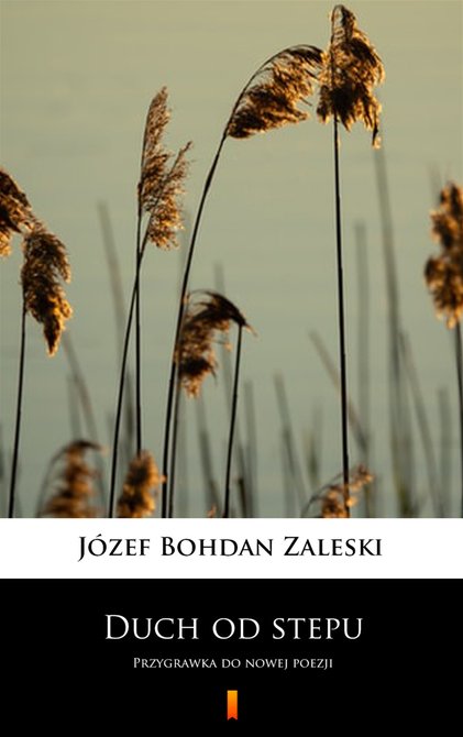 ebooki: Duch od stepu &ndash; ebook