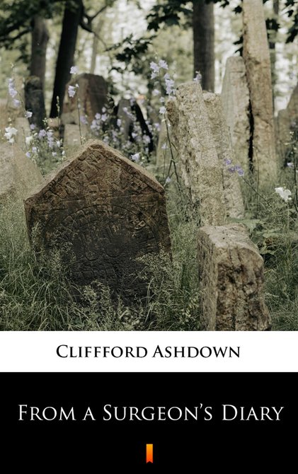 ebooki: From a Surgeon&rsquo;s Diary &ndash; ebook