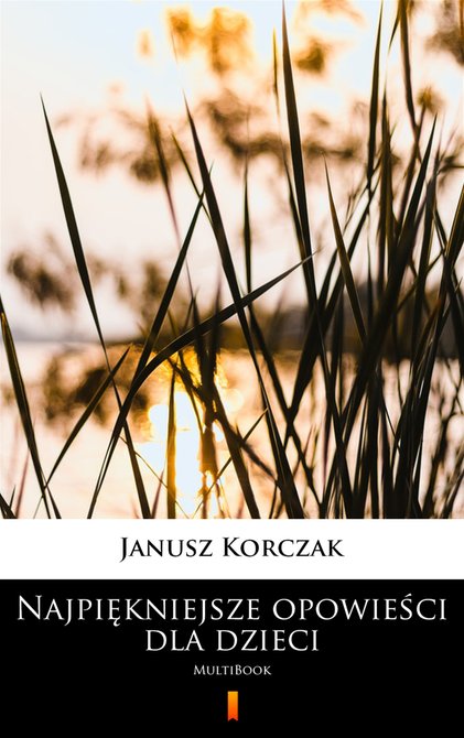 ebooki: Najpiękniejsze opowieści dla dzieci &ndash; ebook