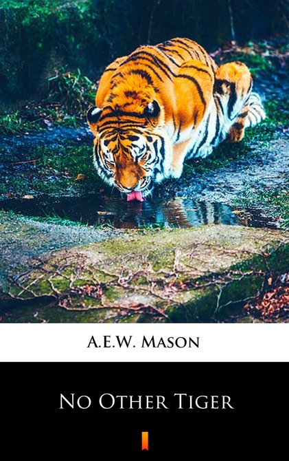 ebooki: No Other Tiger – ebook
