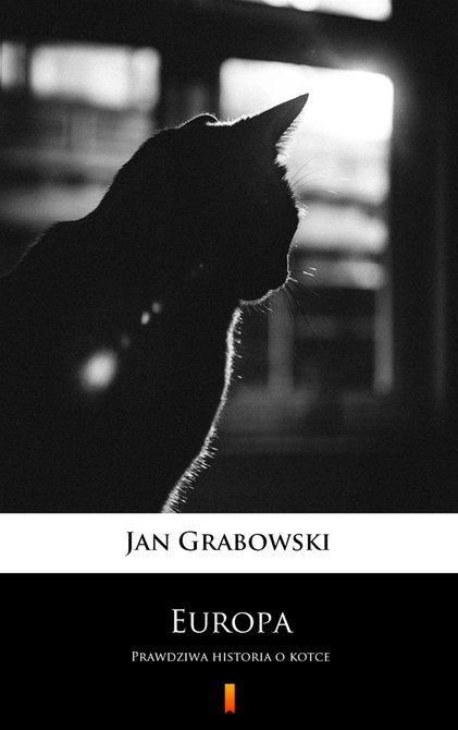 ebooki: Europa &ndash; ebook