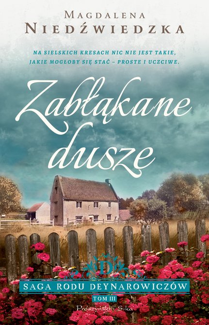 ebooki: Zabłąkane dusze – ebook