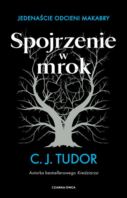 ebooki: Spojrzenie w mrok &ndash; ebook