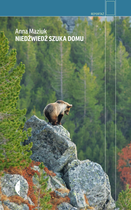 ebooki: Niedźwiedź szuka domu &ndash; ebook