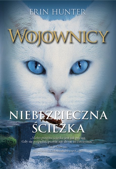 ebooki: Wojownicy tom 5: Niebezpieczna ścieżka, Wojownicy, Tom V – ebook