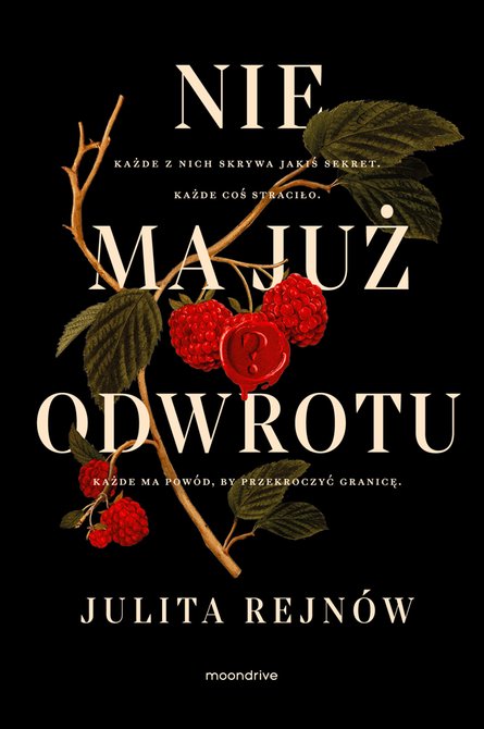 ebooki: Nie ma już odwrotu – ebook