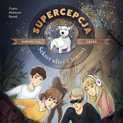 audiobooki: Supercepcja. Sekret ulicy Ciemnej &ndash; audiobook