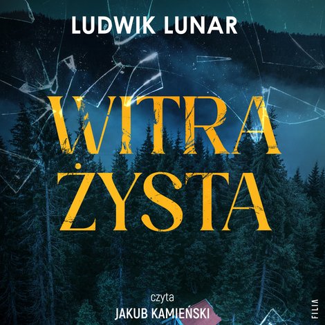 audiobooki: Witrażysta – audiobook
