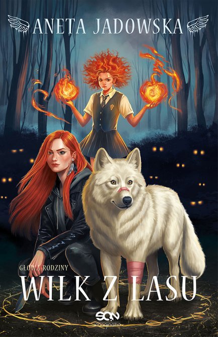 ebooki: Wilk z lasu – ebook