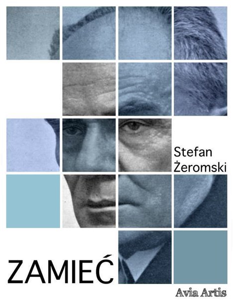 ebooki: Zamieć &ndash; ebook