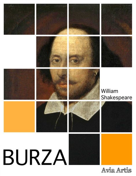 ebooki: Burza – ebook