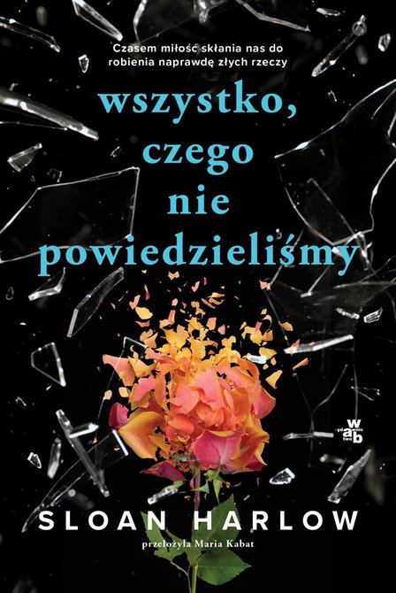 ebooki: Wszystko, czego nie powiedzieliśmy &ndash; ebook