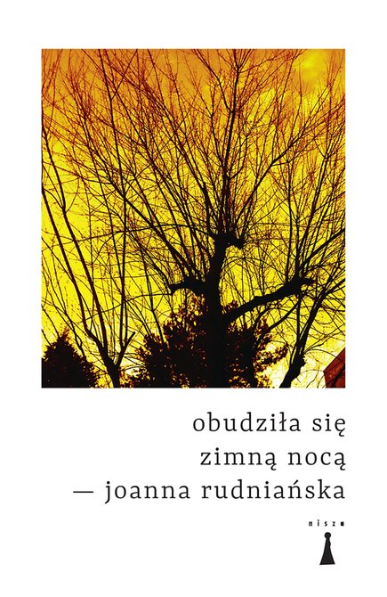 ebooki: Obudziła się zimną nocą – ebook