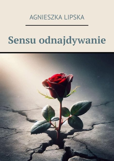 ebooki: Sensu odnajdywanie &ndash; ebook