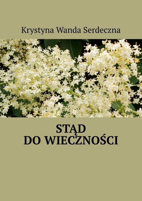 ebooki: Stąd do wieczności – ebook
