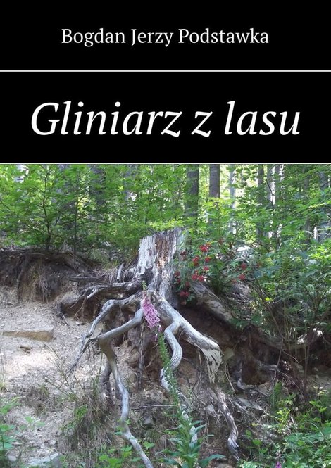 ebooki: Gliniarz z lasu – ebook