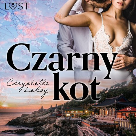 audiobooki: Czarny kot - opowiadanie erotyczne &ndash; audiobook