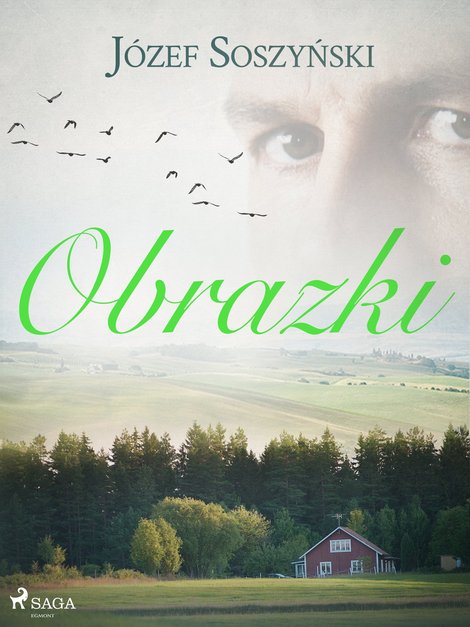 ebooki: Obrazki &ndash; ebook