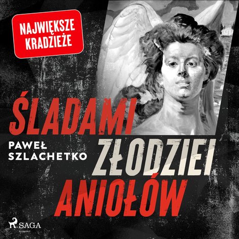 audiobooki: Śladami złodziei anioł&oacute;w &ndash; audiobook