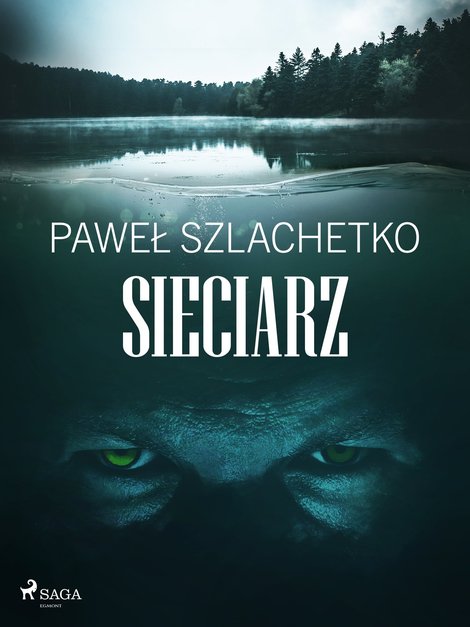 ebooki: Sieciarz &ndash; ebook