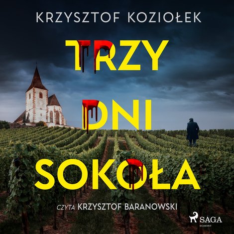 audiobooki: Trzy dni Sokoła &ndash; audiobook