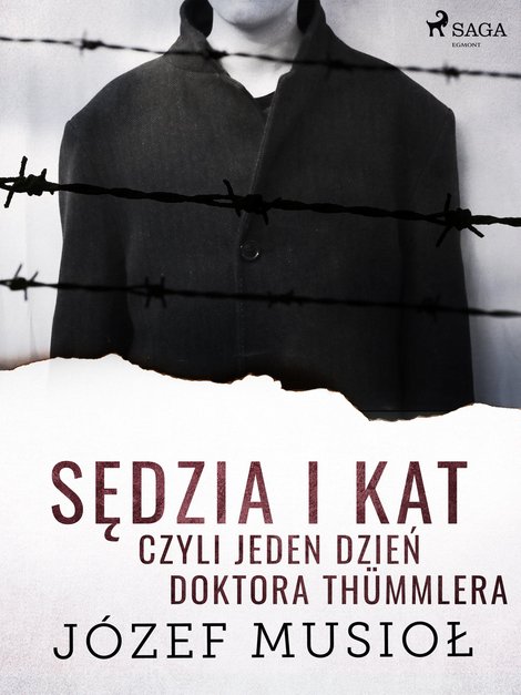 ebooki: Sędzia i kat, czyli jeden dzień doktora Th&uuml;mmlera &ndash; ebook
