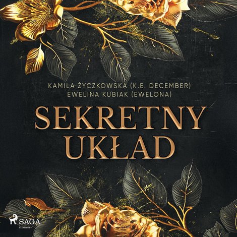 audiobooki: Sekretny układ &ndash; audiobook