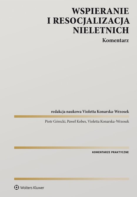 ebooki: Wspieranie i resocjalizacja nieletnich. Komentarz &ndash; ebook