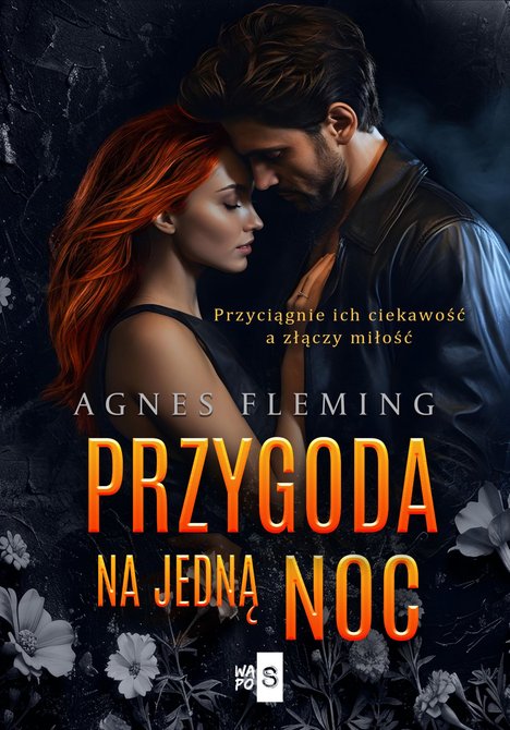 ebooki: Przygoda na jedną noc &ndash; ebook