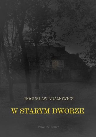 ebooki: W starym dworze. Powieść fantastyczna &ndash; ebook