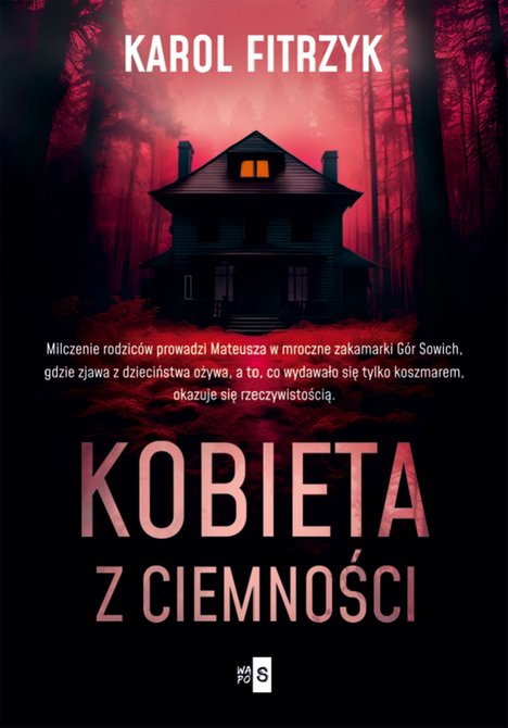 ebooki: Kobieta z ciemności &ndash; ebook