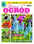 e-prasa: Kocham Ogród – 3/2017