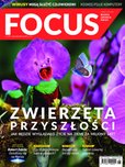 e-prasa: Focus – 6-7/2020
