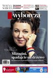 e-prasa: Gazeta Wyborcza - Warszawa – 117/2022