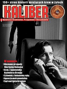 e-prasa: Kaliber .38 Special – 2/2019