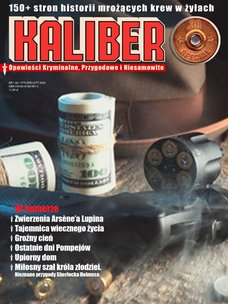 e-prasa: Kaliber .38 Special – 6/2019