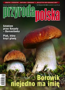 e-prasa: Przyroda Polska – 9/2020