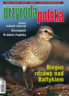 e-prasa: Przyroda Polska – 10/2020