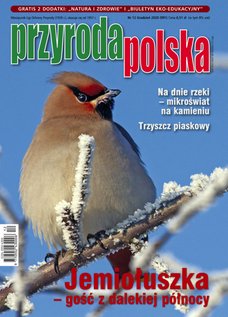 e-prasa: Przyroda Polska – 12/2020
