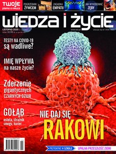 e-prasa: Wiedza i Życie – 11/2020