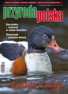 e-prasa: Przyroda Polska – 3/2021