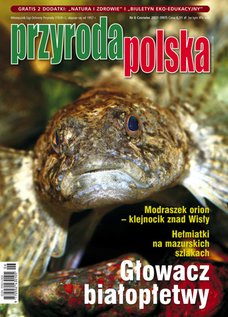 e-prasa: Przyroda Polska – 6/2021