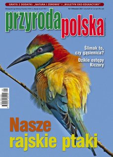 e-prasa: Przyroda Polska – 9/2021