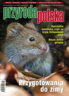 e-prasa: Przyroda Polska – 11/2021